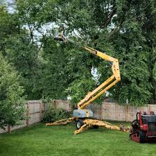 Trusted Aransas Pass, TX Tree Services Experts