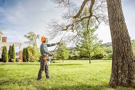 Best Arborist Consultation Services  in Aransas Pass, TX