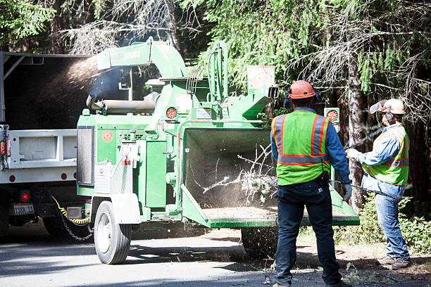 Best Storm Damage Tree Cleanup  in Aransas Pass, TX